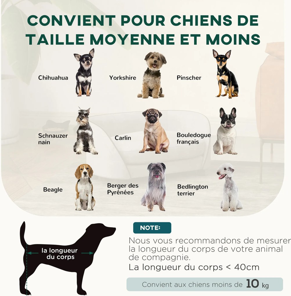 Sofá para cães com almofada macia, capa removível e lavável, revestimento em veludo holandês cinzento