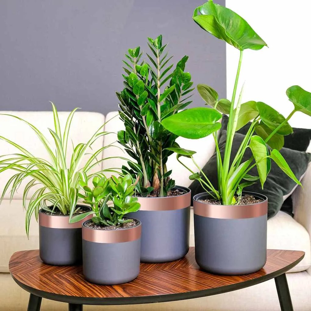 vidaXL Fita de cobre 6 pcs Cobre 2000 x 5 cm Cobre