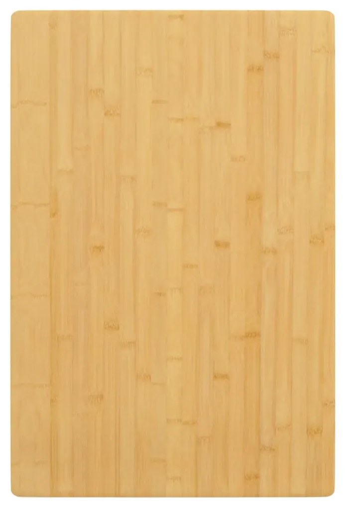 3154997 vidaXL Tampo de mesa 40x60x4 cm bambu