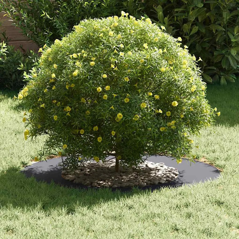 Conjunto de Plantadeiras Plásticas Antracite Plástico Grande