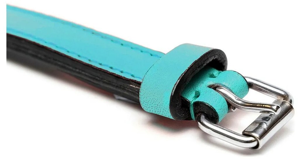 Coleira para Cães Gloria Acolchoado Turquesa (30 x 1,5 cm)