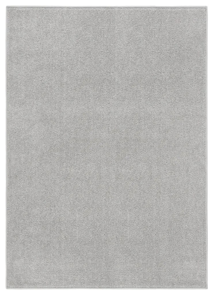 340323 vidaXL Tapete de pelo curto 120x170 cm cinzento-claro