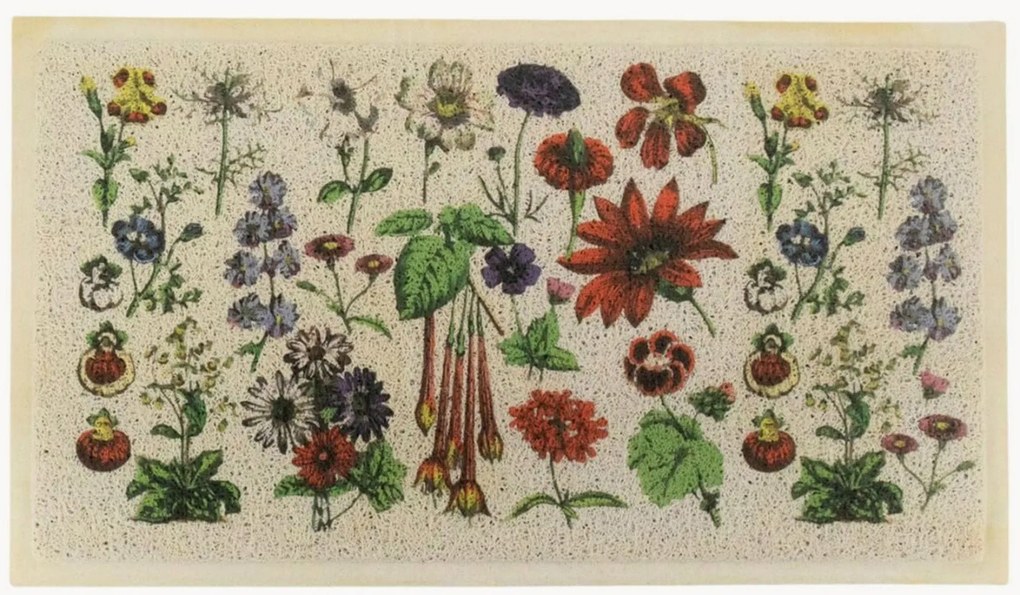 Tapete de entrada para interior e exterior Botanicals