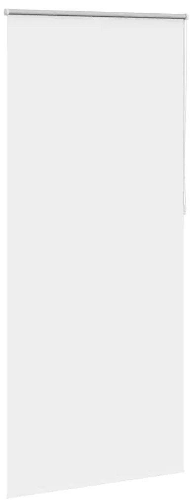 Estore de rolo 80 x 230 cm, Branco