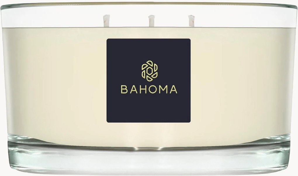Vela perfumada artesanal com três pavios Alchemy (âmbar, salva)