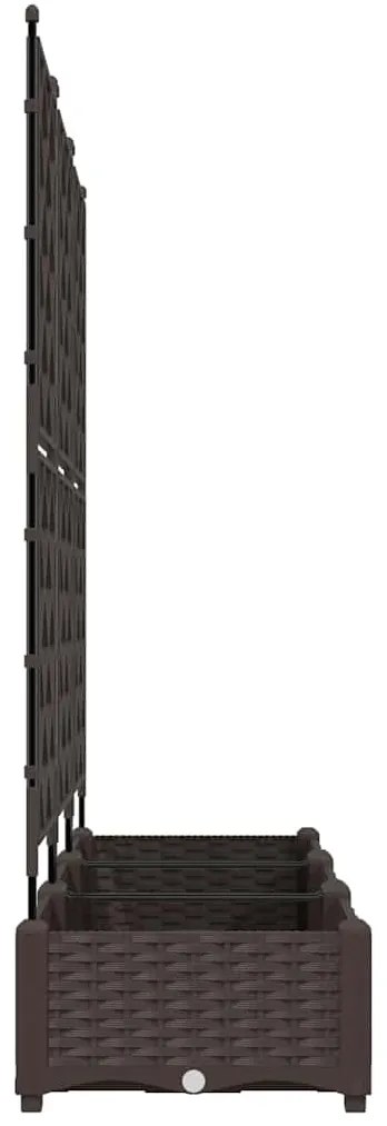 Vaso de Jardim com Treliça 3 pcs Castanho 120x40x125.5 cm