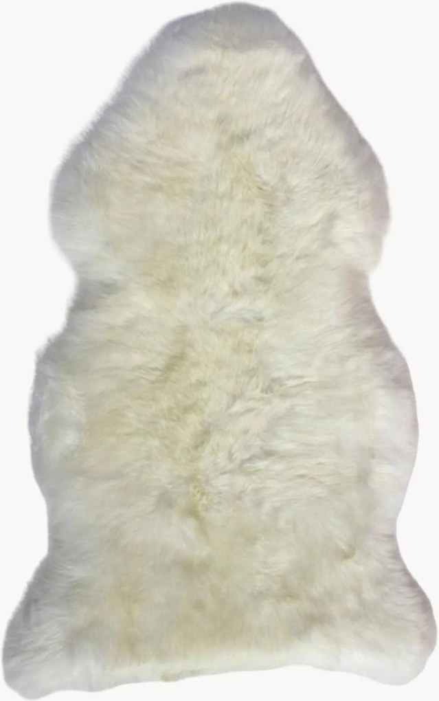 Tapete Standard