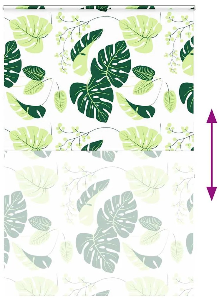 Rolo de Duche Estores cassete 160x240 cm Largura Tecido 156 cm