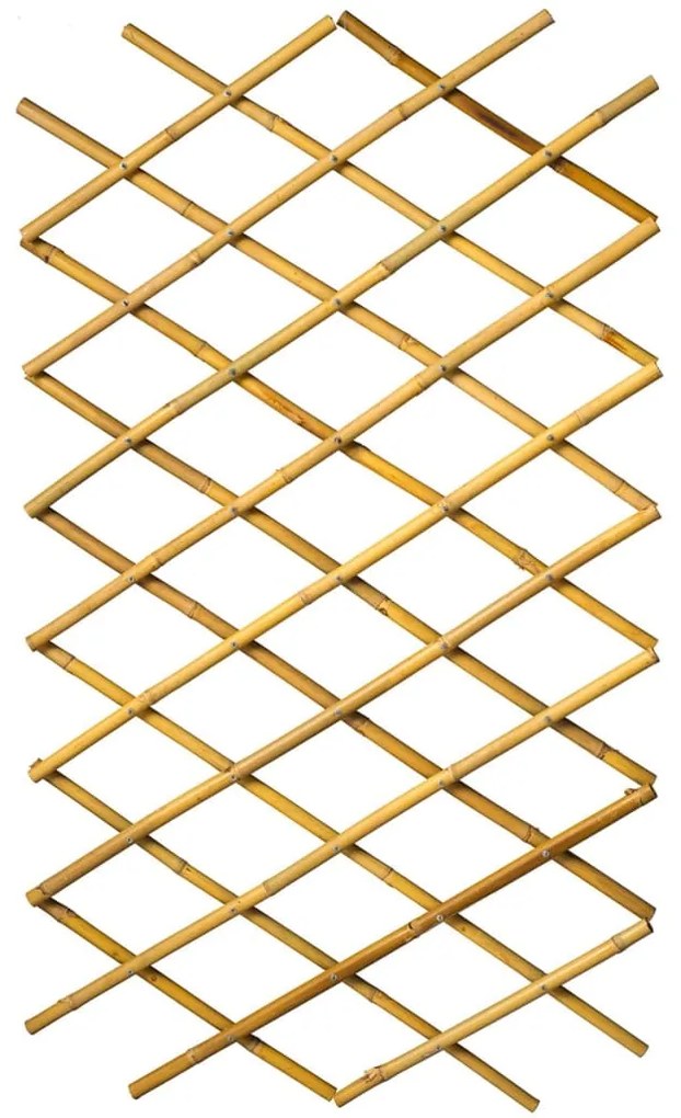 409344 Nature Treliça de jardim 70x180 cm bambu 6040721