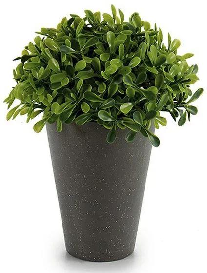 Planta Decorativa (13 x 17 x 13 cm) Plástico
