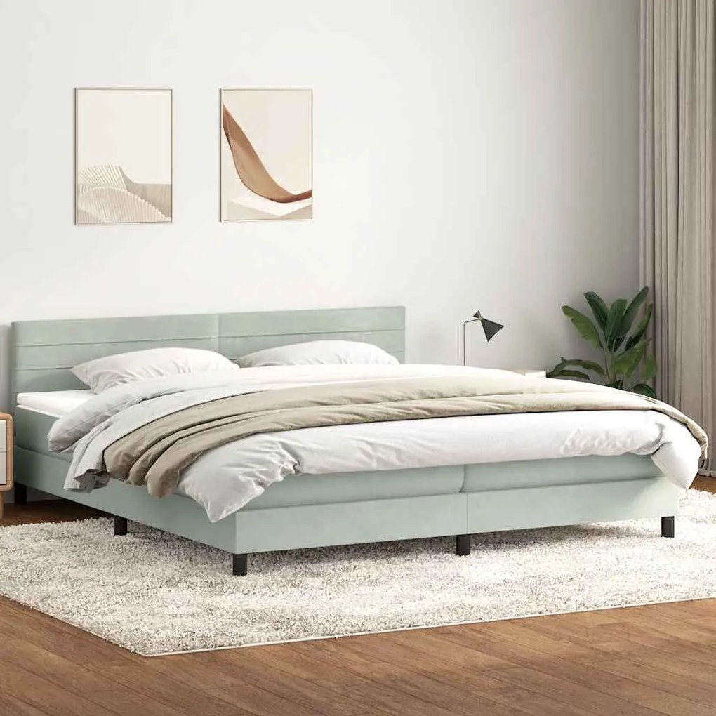 vidaXL Cama com molas/colchão 200x220 cm veludo cinzento-claro
