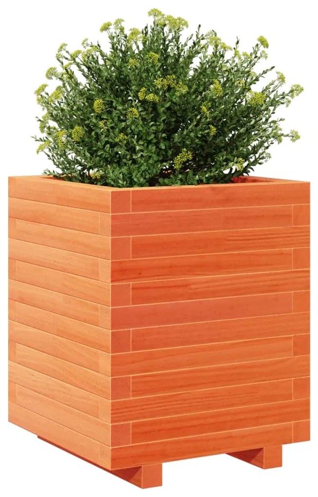 Vaso/floreira de jardim 40x40x49,5cm pinho maciço castanho mel