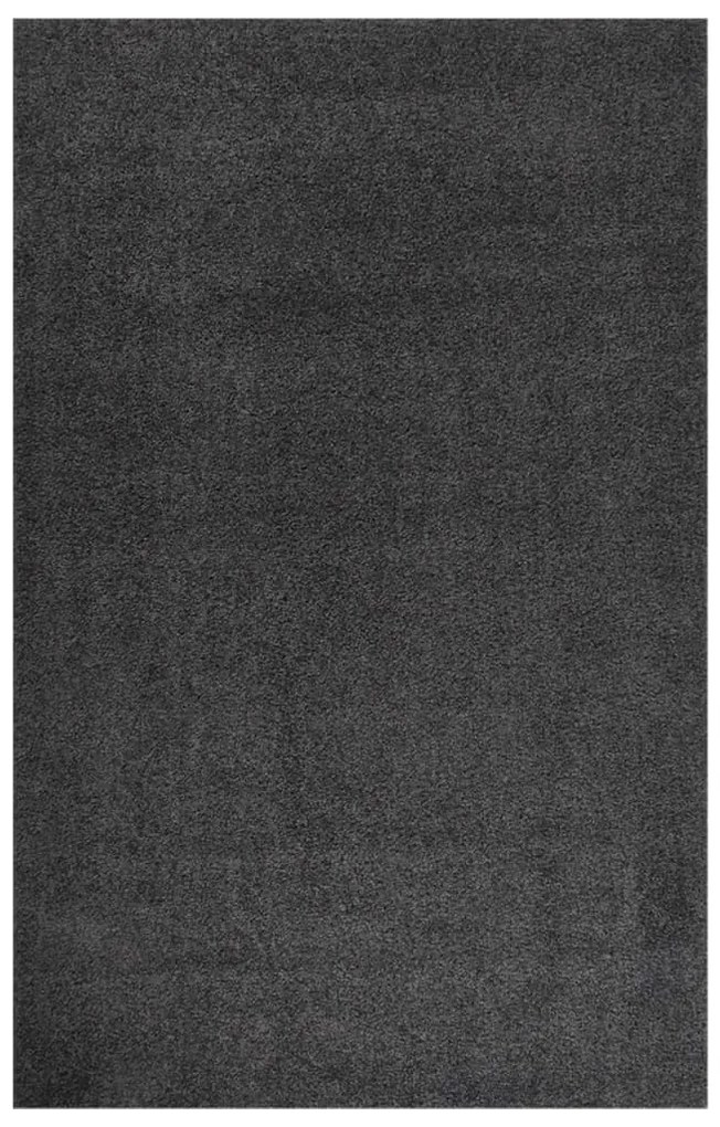 vidaXL Tapete shaggy de pelo alto 200x290 cm antracite