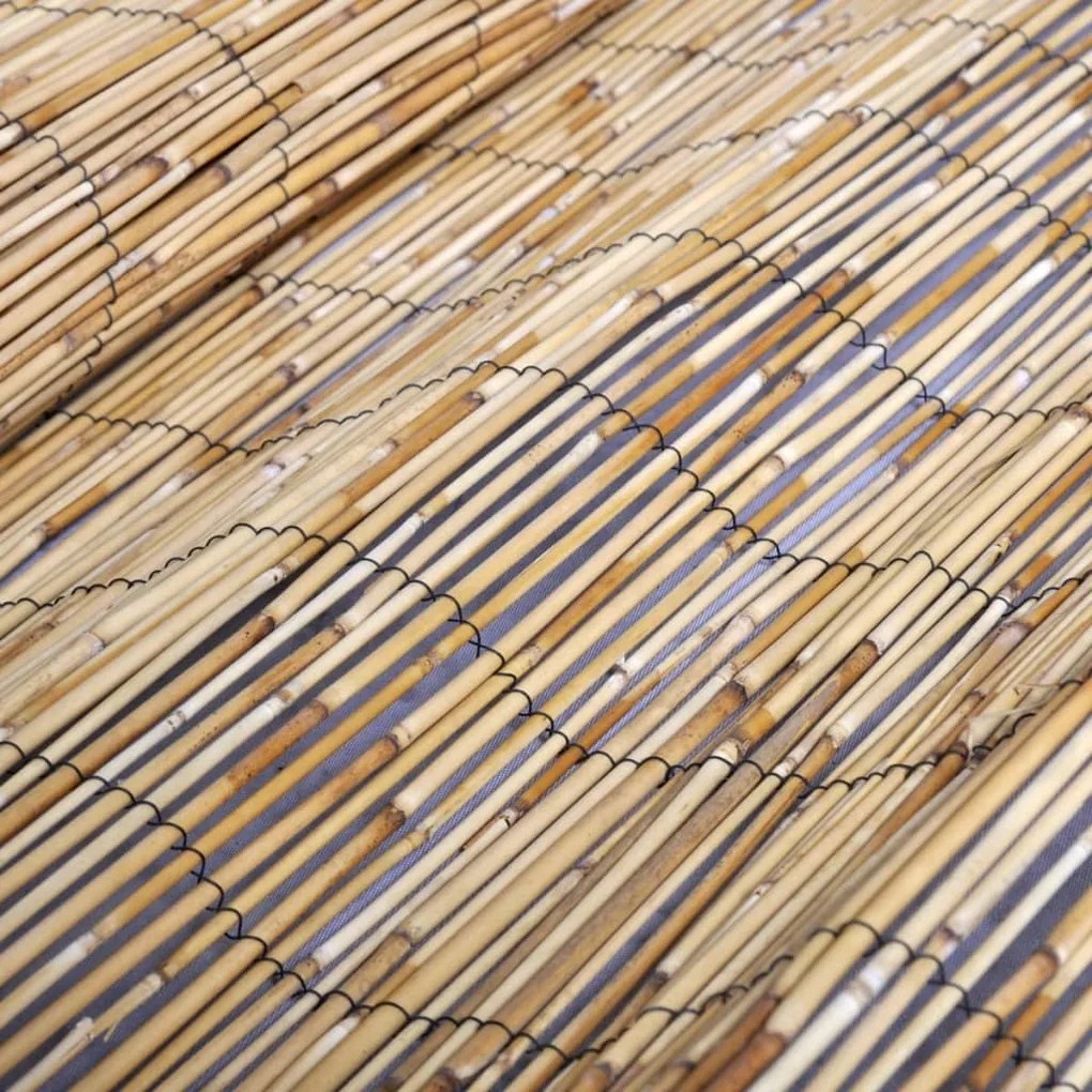 Cerca de caniço para jardim 100x1000 cm