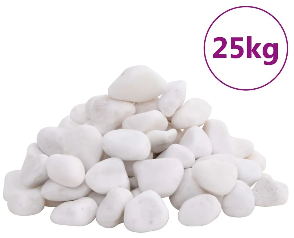 vidaXL Seixos polidos 25 kg 2-5 cm branco
