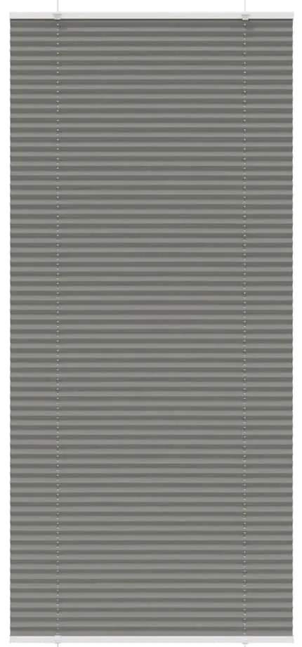 vidaXL Antracite Plissada Cega 100x200 cm Largura Tecido 99,4 cm