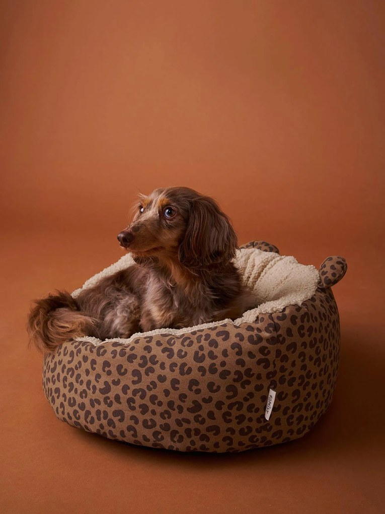 Cesto acolchoado Family, para animal de companhia castanho estampado