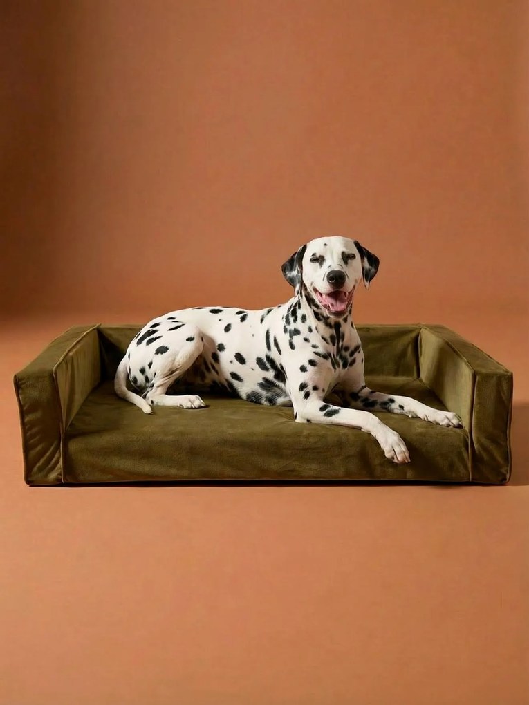 Sofá em veludo, para cão grande bronze