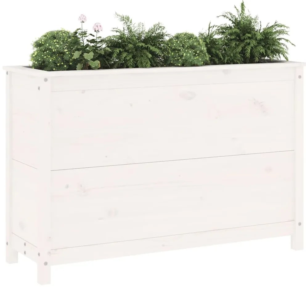 Canteiro elevado de jardim 119,5x40x78 cm pinho maciço branco