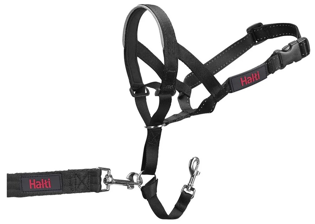 Coleira de Treino para Cães Company of Animals Halti Preto Açaime (40-54 cm)