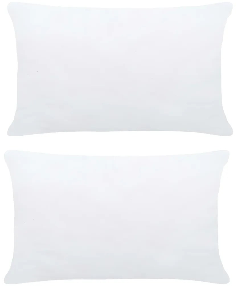vidaXL Enchimentos para almofadão 2 pcs 60x40 cm branco
