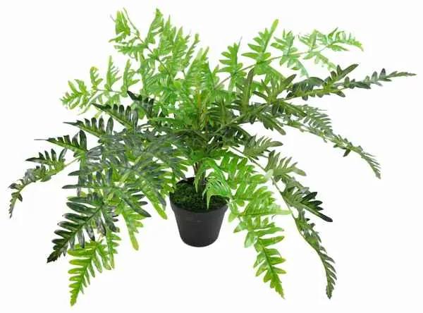 Planta Decorativa LEAF-7145 (50 cm) (Recondicionado A+)