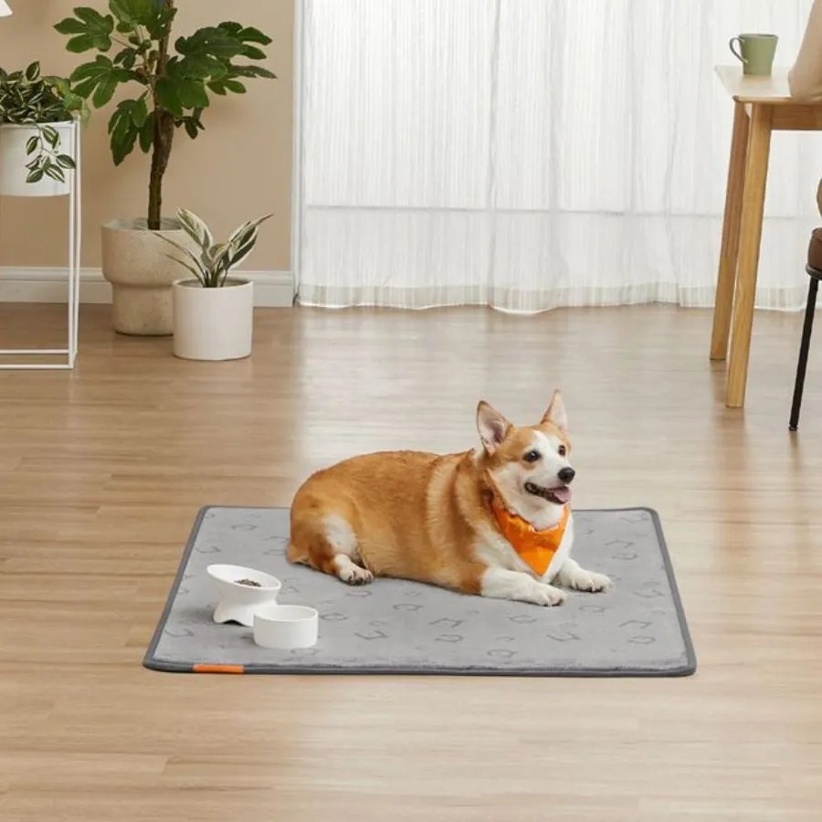 Conjunto de 2 Tapetes para cachorros, laváveis, 122 x 91 cm, Cinzento