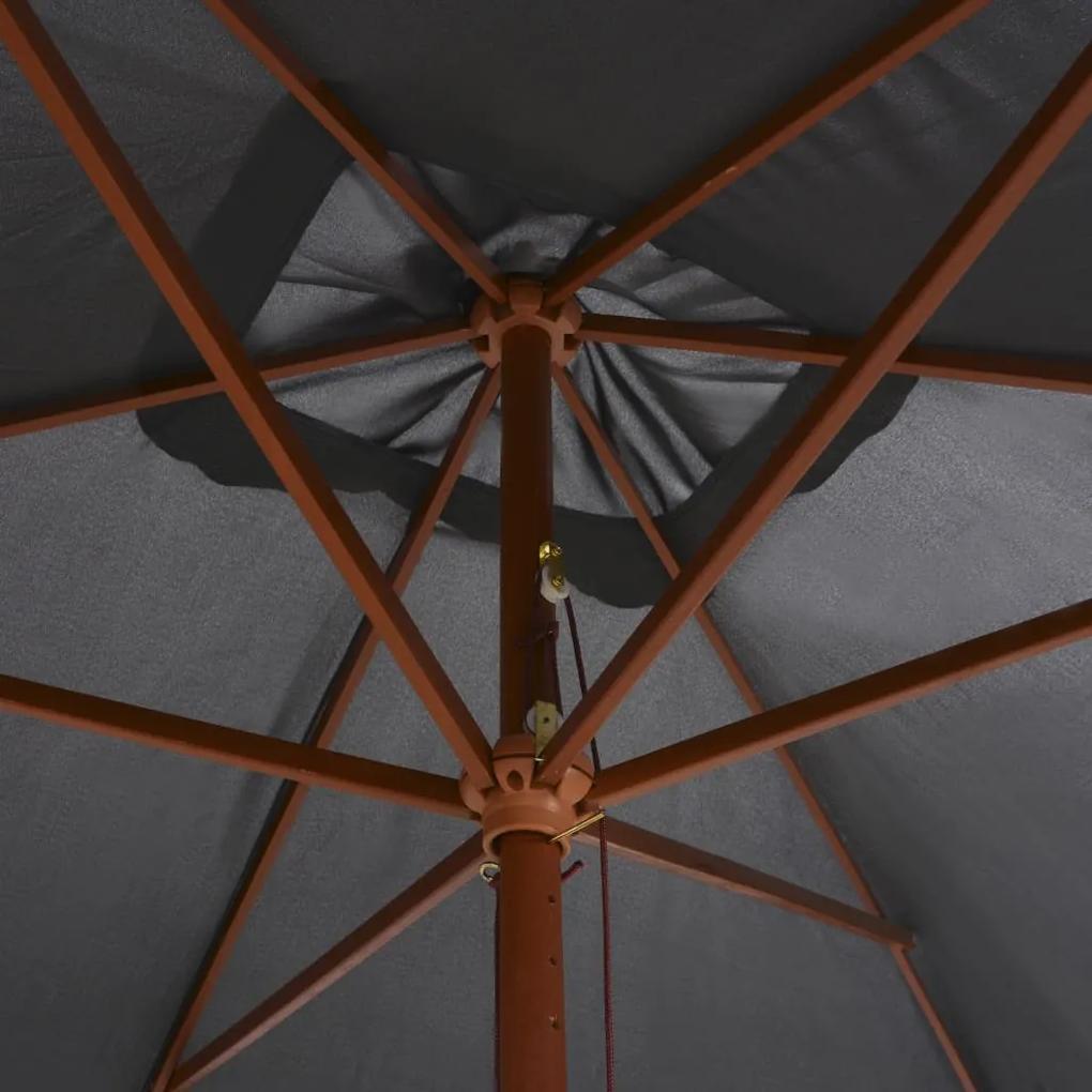 Guarda-sol de exterior c/ mastro de madeira 200x300cm antracite