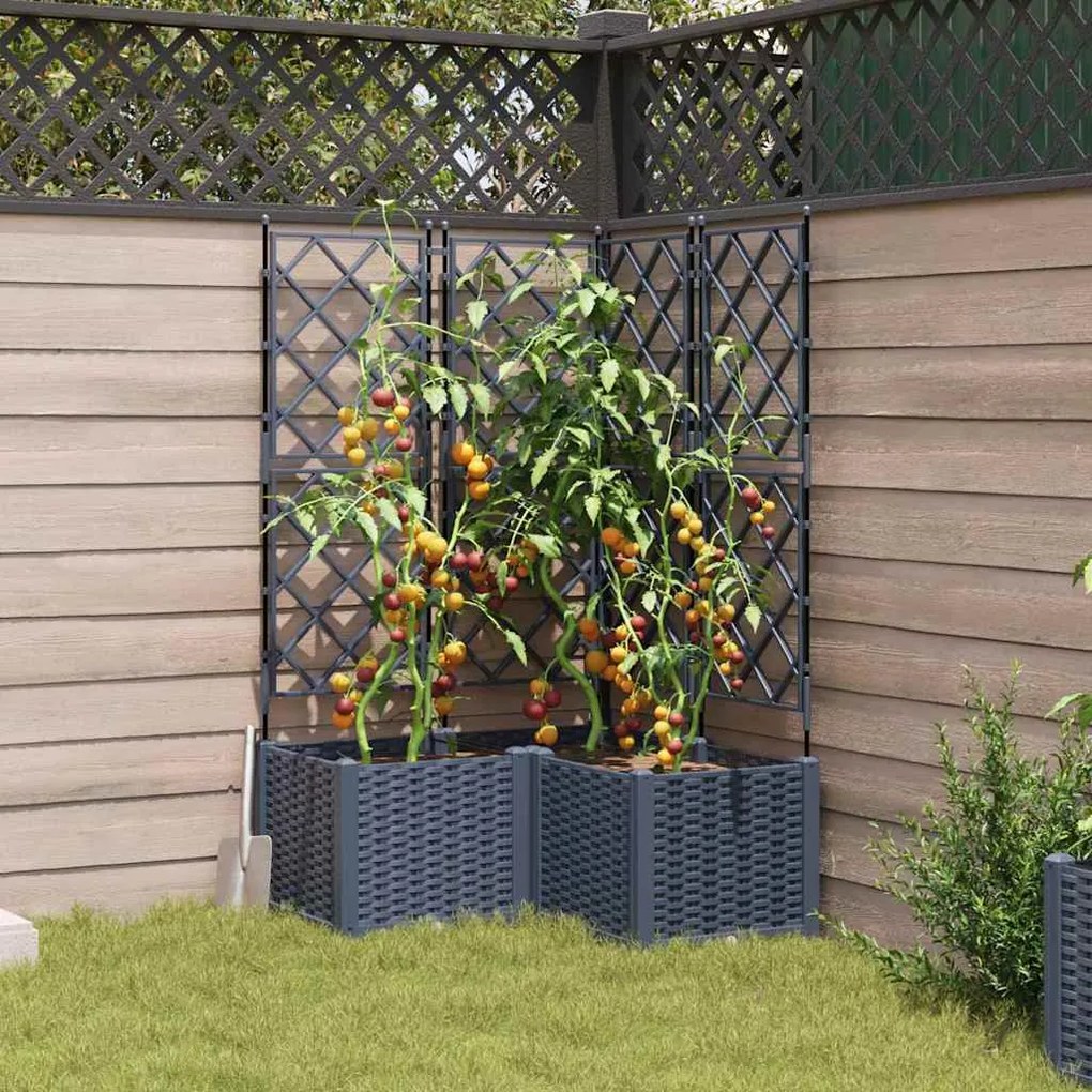 Plantadeira de Jardim com Treliça 3 pcs Cinza 80x80x143 cm