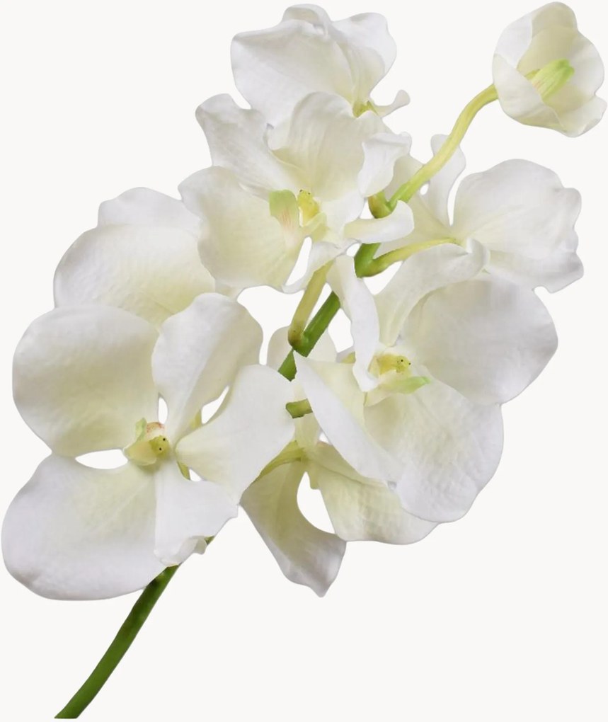 Flores artificiais Vanda, conjunto de 2