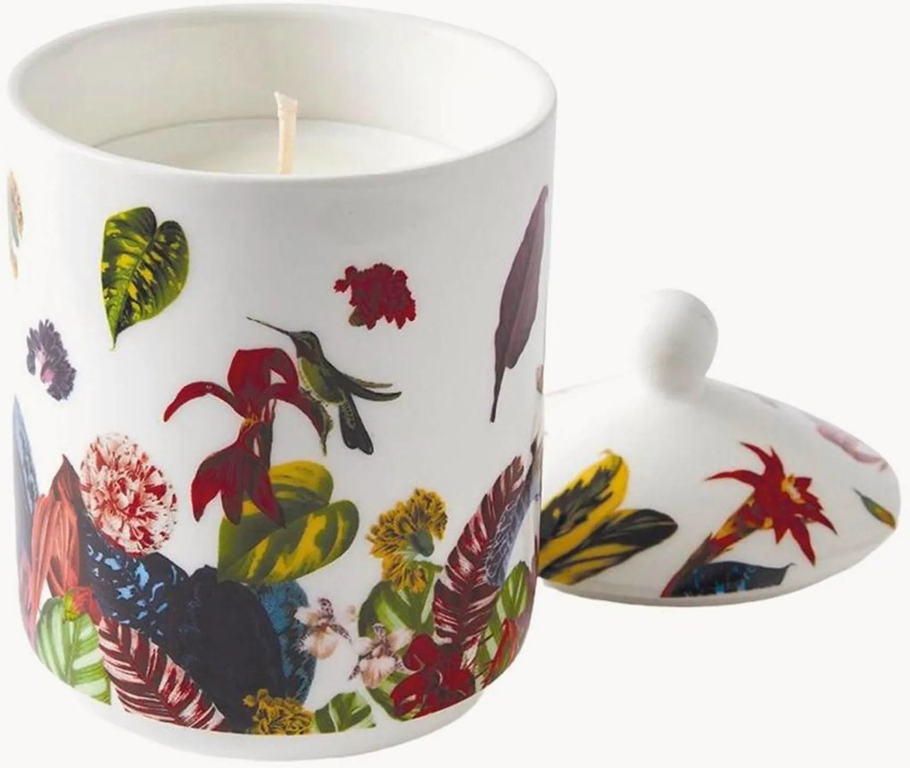 Vela perfumada Jardin Tropical (figueira)