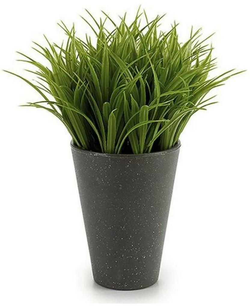 Planta Decorativa 8430852735119 Plástico (9 x 18 x 9 cm) (11 x 18 x 11 cm)