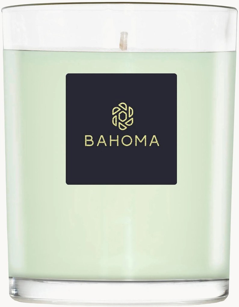 Vela perfumada artesanal Alchemy (primrose, amberwood)