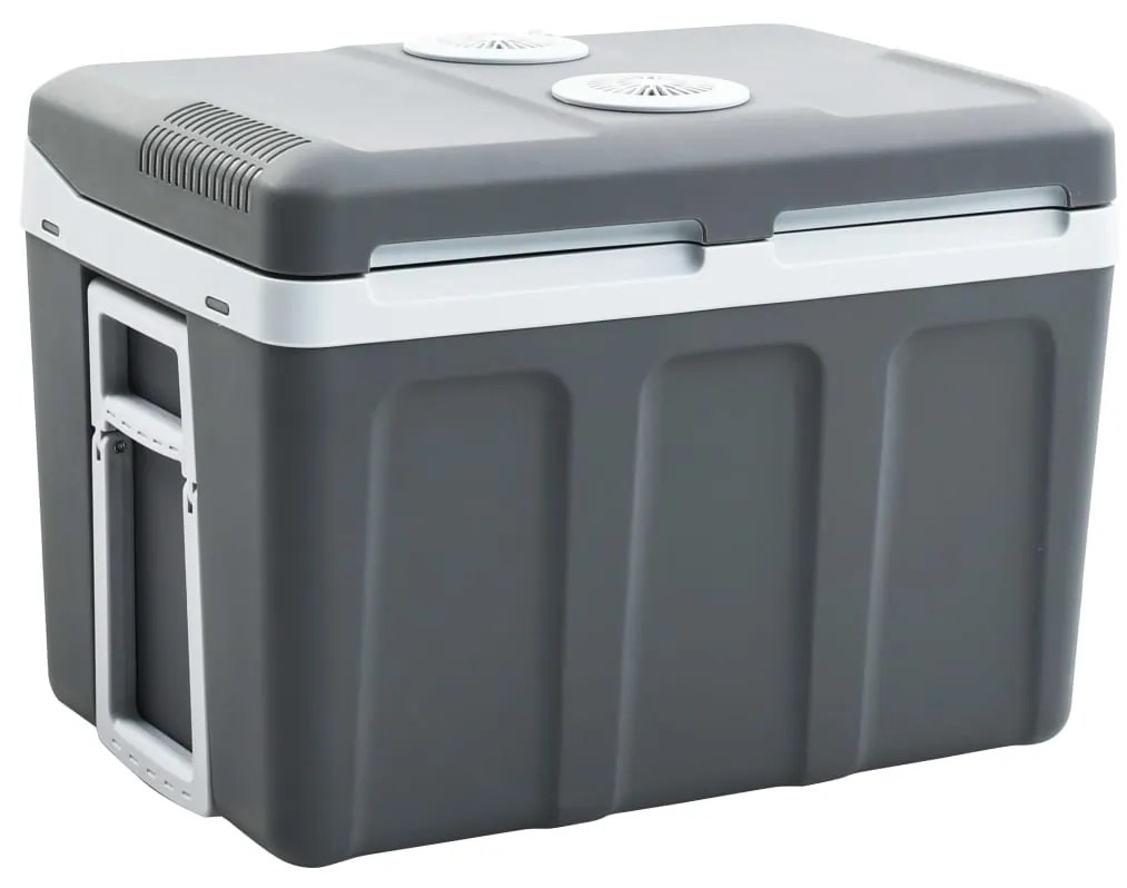 vidaXL Refrigerador/mala térmica portátil 40 L 12 V 230 V E