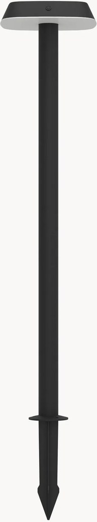 Candeeiro de estaca LED solar com sensor de movimento Dreoli