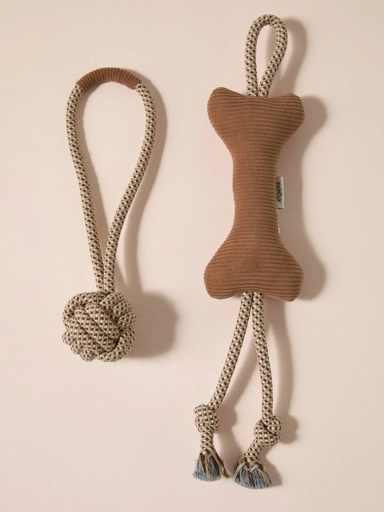 Lote de brinquedos para cão avelã