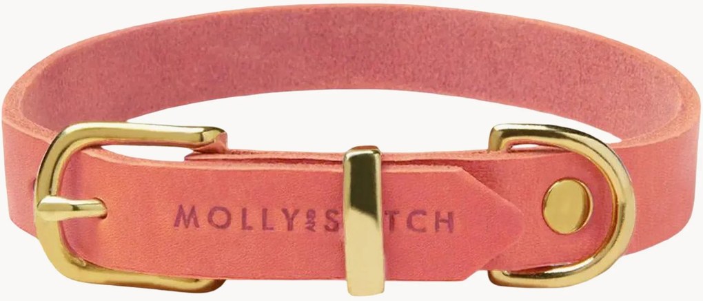 Coleira para cão em pele Scandinavia, vários tamanhos