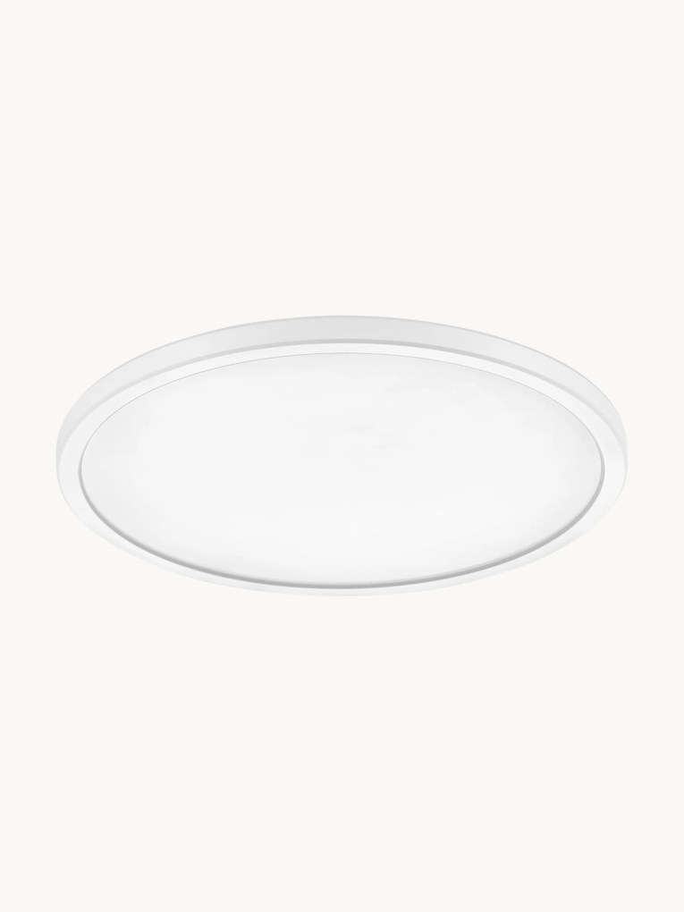 Candeeiro de teto LED pequeno regulável Oja