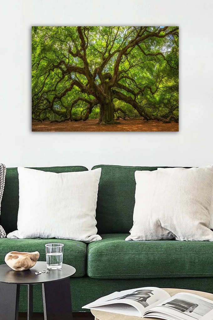 Quadro Decorativo 553671223 – Multicolor – 50 x 70 cm