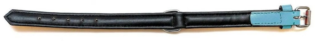 Coleira para Cães Gloria Acolchoado Turquesa (30 x 1,5 cm)