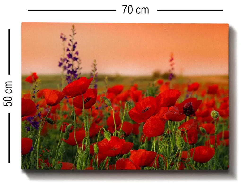 Quadro Decorativo 100214240 – Multicolor – 50 x 70 cm