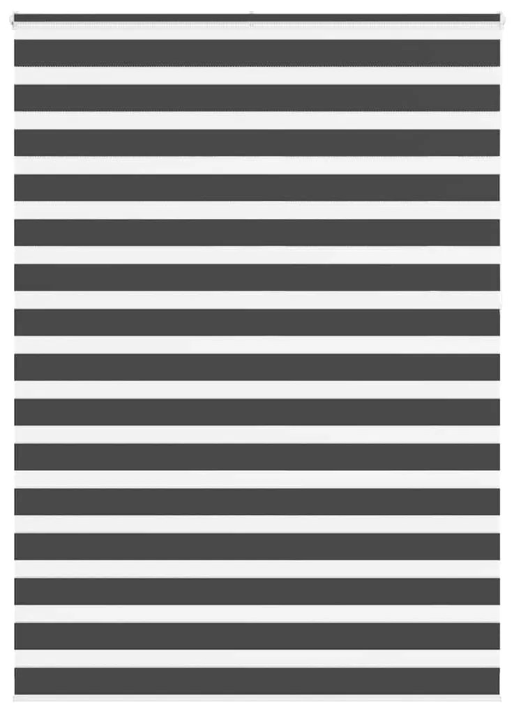 vidaXL Cortina de zebra 160x230 cm largura do tecido 155,9cm poliéster