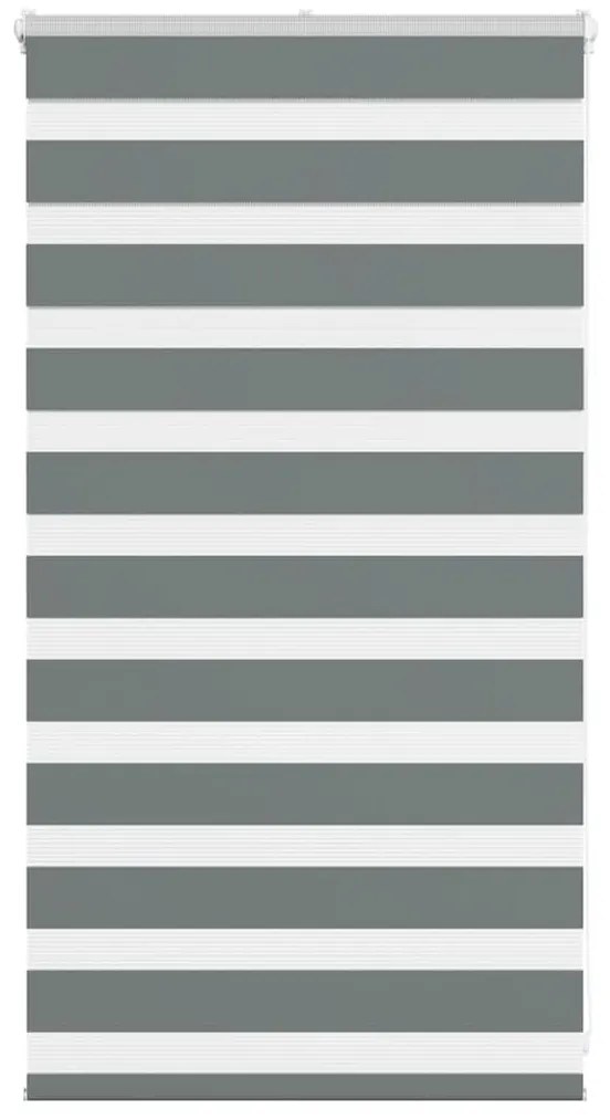 Cortina de zebra 75x100 cm largura do tecido 70,9 cm poliéster
