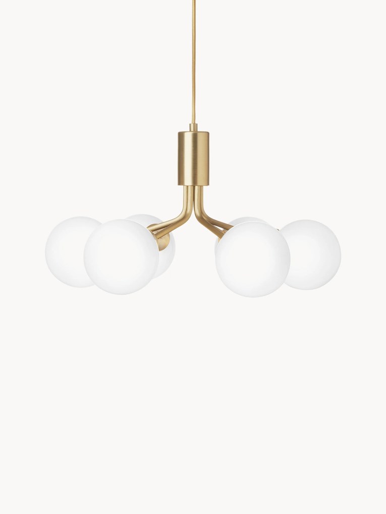 Glass Ball Pendant Lamp Apiales