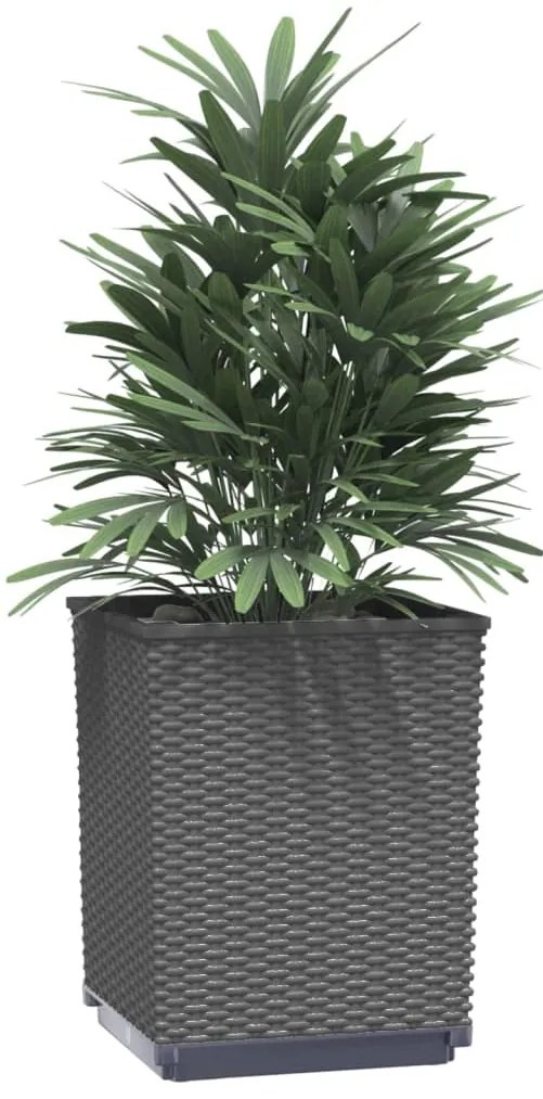 Vasos/floreiras 4 pcs 30x30x37 cm polipropileno preto