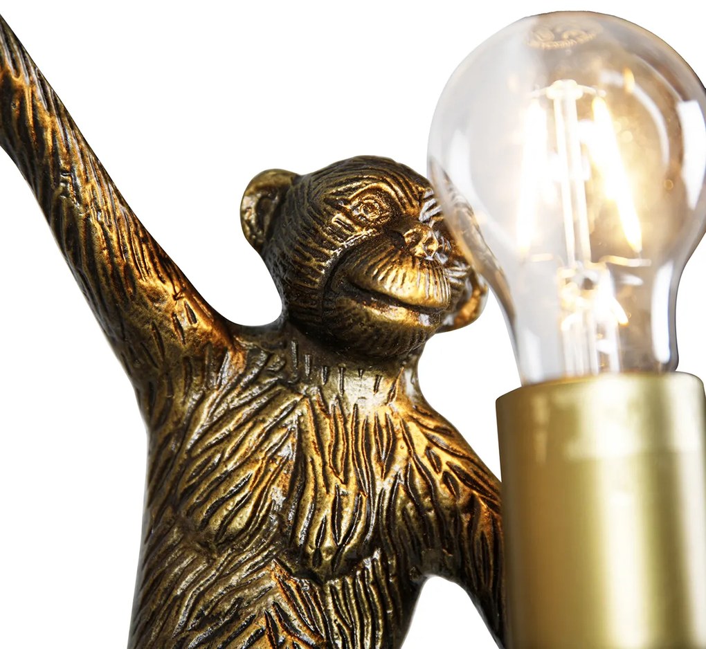 Luminária de parede vintage dourada - Macaco Animal Clássico / Antigo