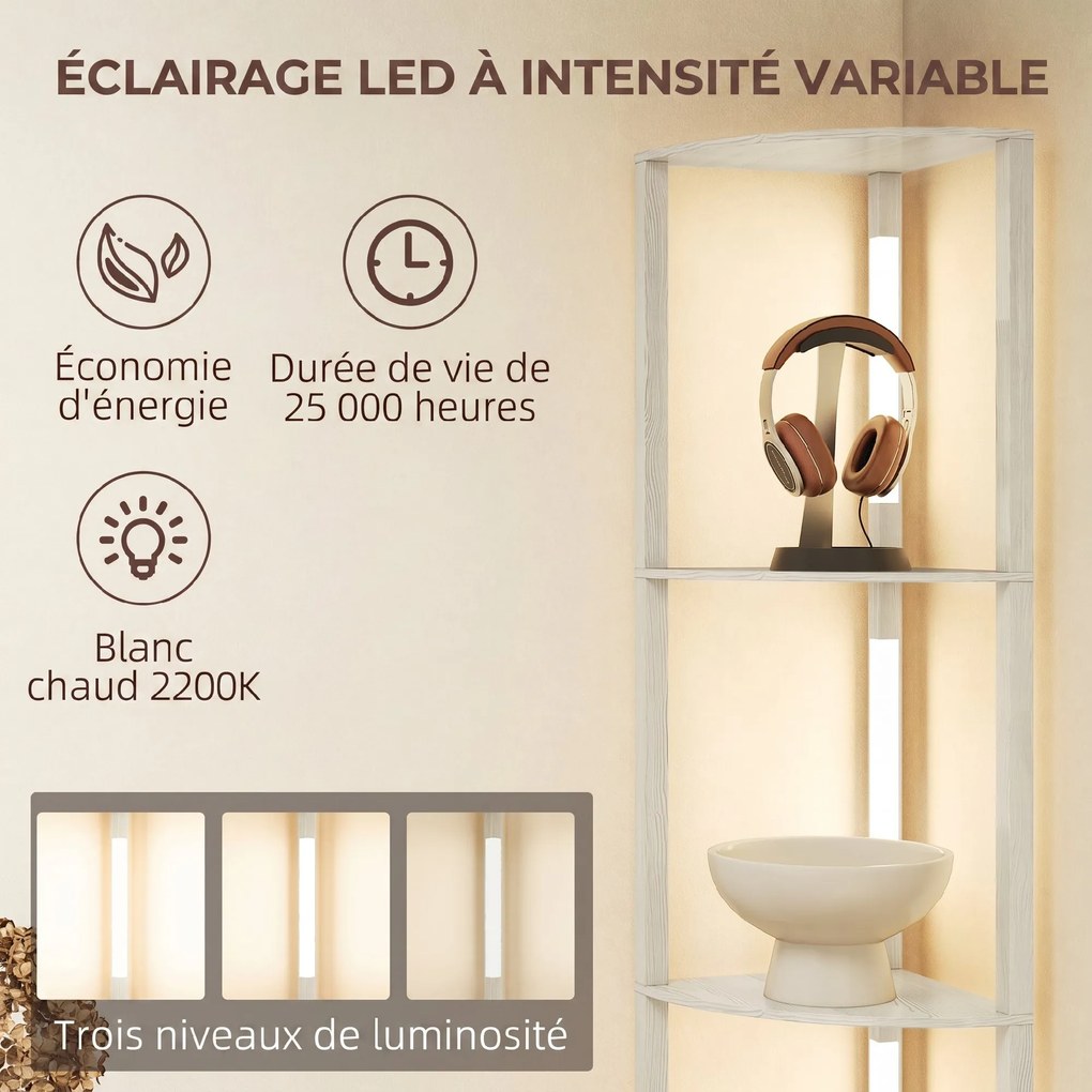 Candeeiro de Pé com Prateleiras de Canto, 41 x 29,5 x 163,5 cm, Iluminação LED Regulável, cor Carvalho
