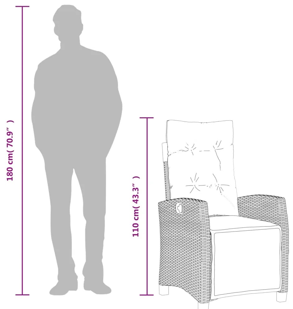 9 pcs conjunto de jantar p/ jardim c/ almofadões vime PE cinza