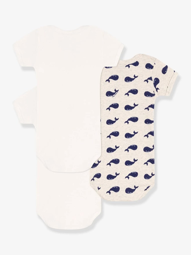 Lote de 3 bodies de mangas curtas, em algodão bio, da Petit Bateau branco
