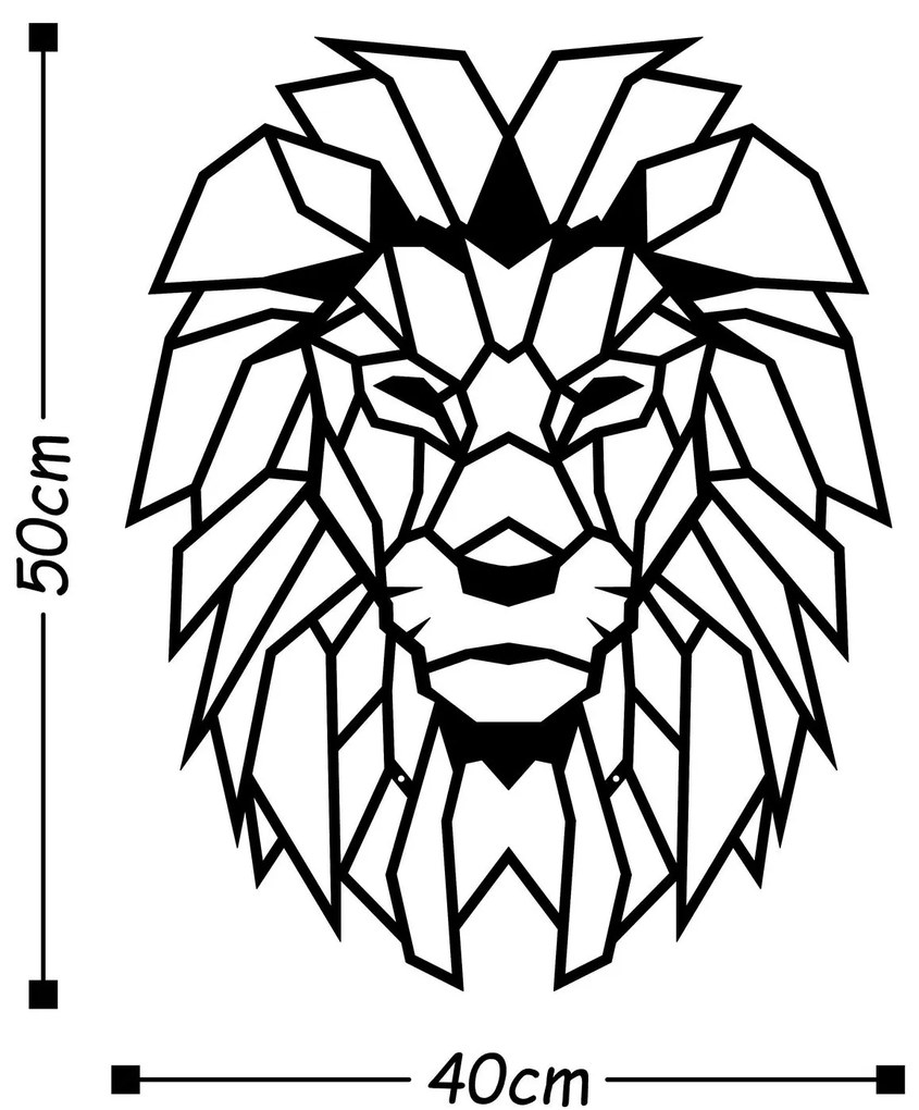Acessório Decorativo de Parede Metal-005 – Preto – 40 x 50 cm